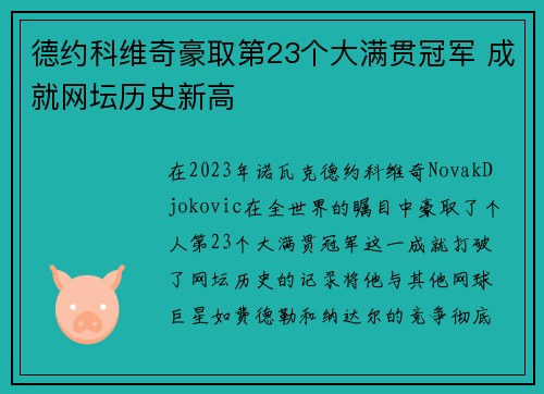 德约科维奇豪取第23个大满贯冠军 成就网坛历史新高 德约科维奇豪取第23个大满贯冠军 成就网坛历史新高